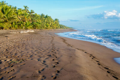 Best Costa Rica Surf Camps: Ideal Wave Sizes & Solo Traveler Tips