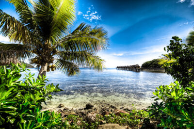 Fiji Surf Camps & Charters for Beginner Solo Travelers